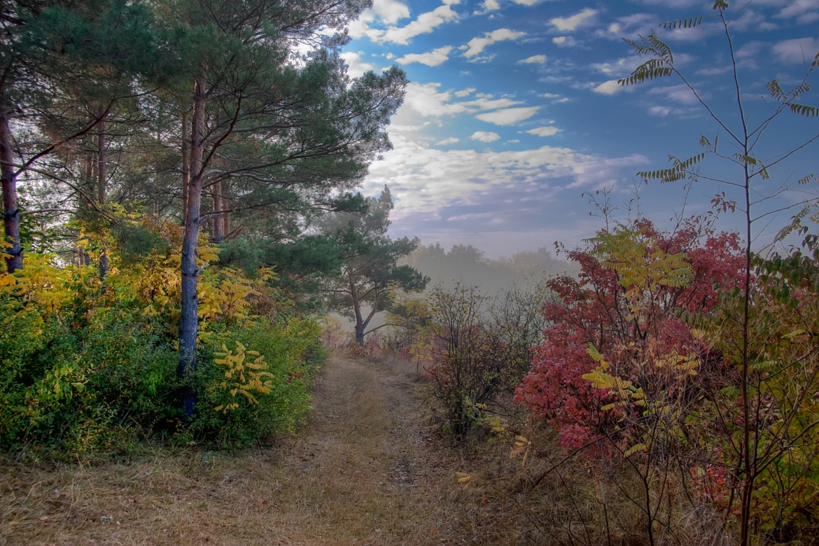 Jiguan Mountain National Forest Park